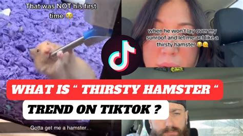 what is the sunroof hamster thing|thirsty hamster meaning.